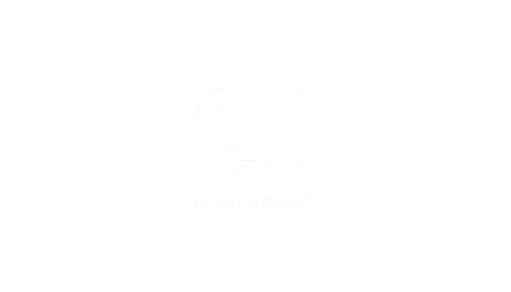 Logo DSAO