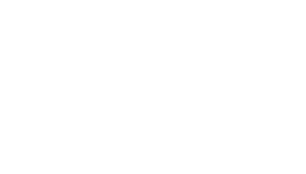 Logo David Capy